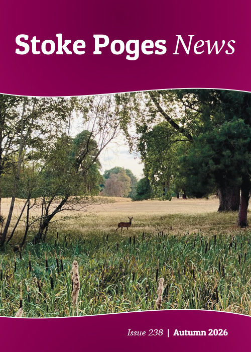 Cover image for Stoke Poges News, Autumn 2026, featuring a deer roaming parched grass at a golf course